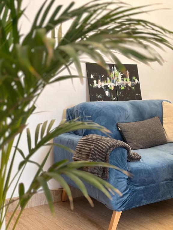 Acogedor full de Plantas - 5
