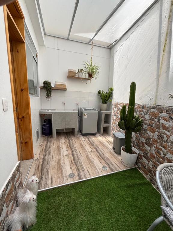 Acogedor full de Plantas - 4