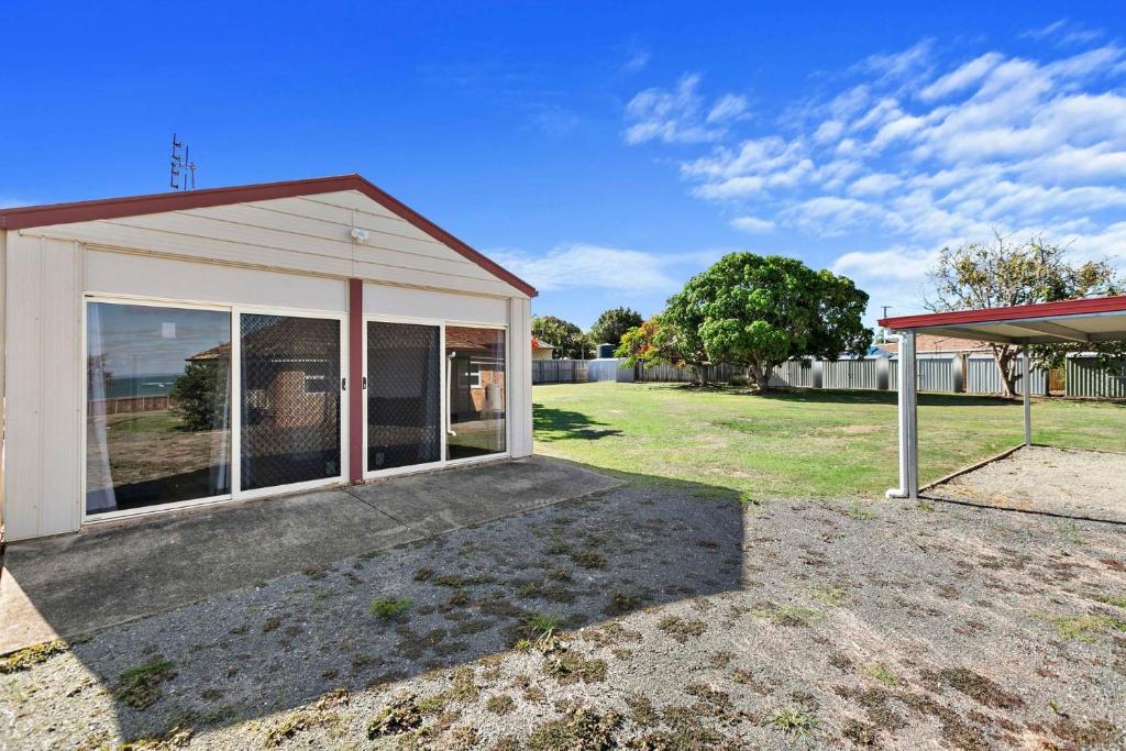 Kangaroos at the point, Point Vernon