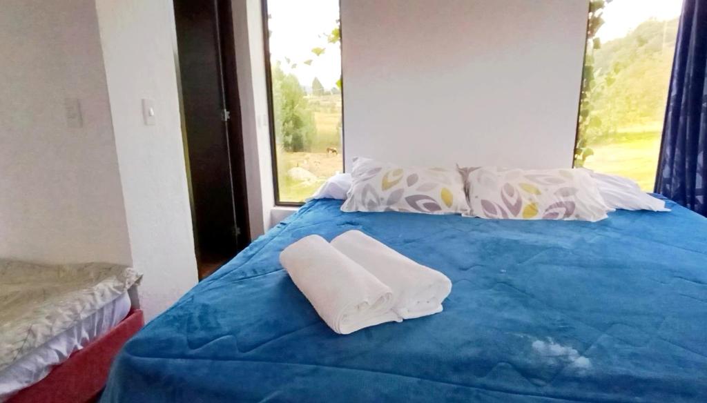 Habitación 202 boutique - 2