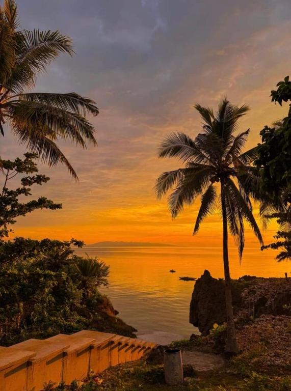 peaceful turtle camp, Esperanza