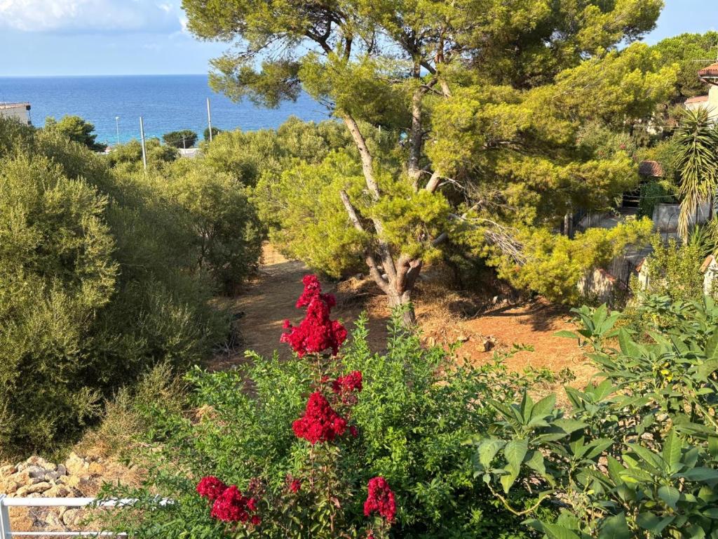 Casa in villa vista mare - 2