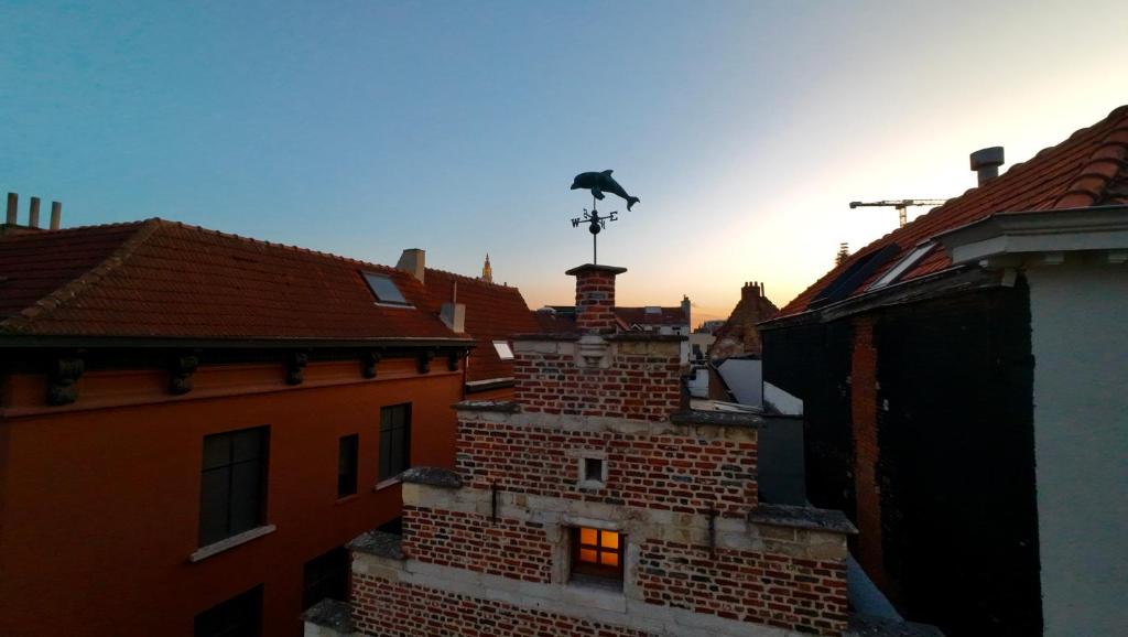 Dolfijn Hostel 8