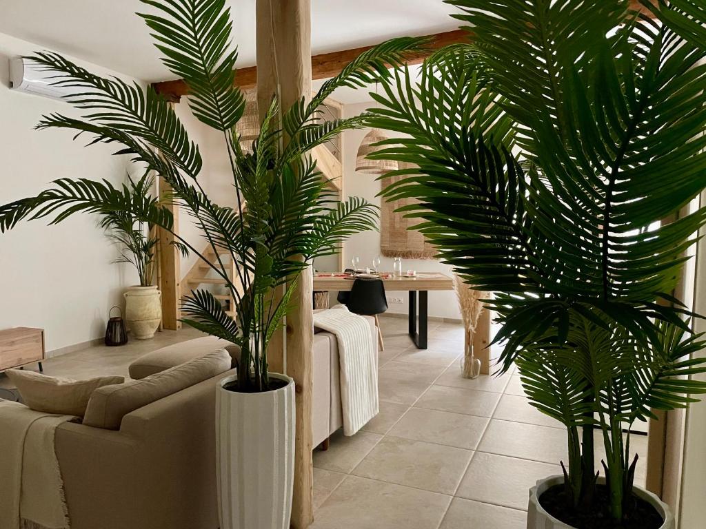 Villa de charme avec spa