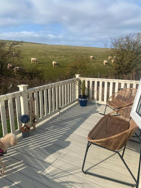 Turnberry holiday park, Turnberry