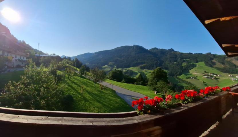 Haus Panorama - 4