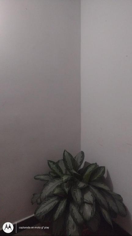 habitaciones silkis - 1