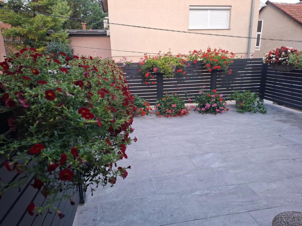 Kaya Apartments - 3
