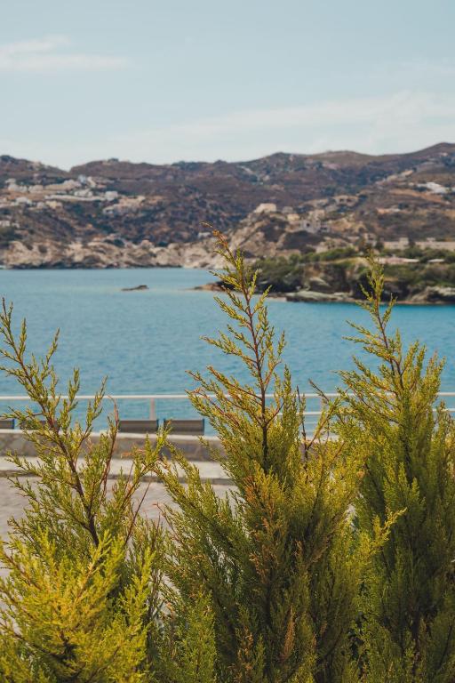 Surrounding environment