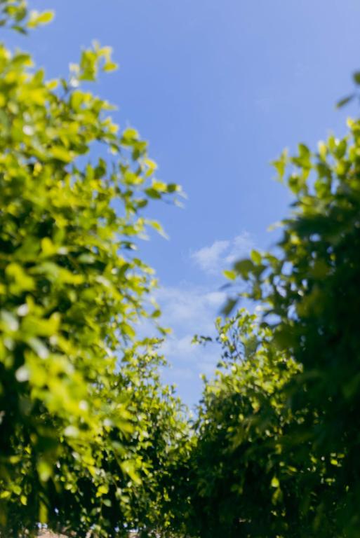 Surrounding environment