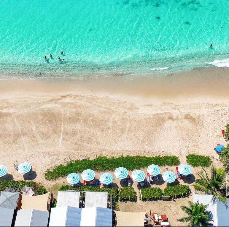 Conch Beach Cabins, Urlings