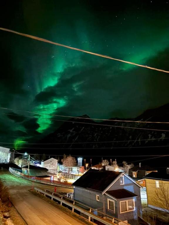 Havblikk, Gryllefjord