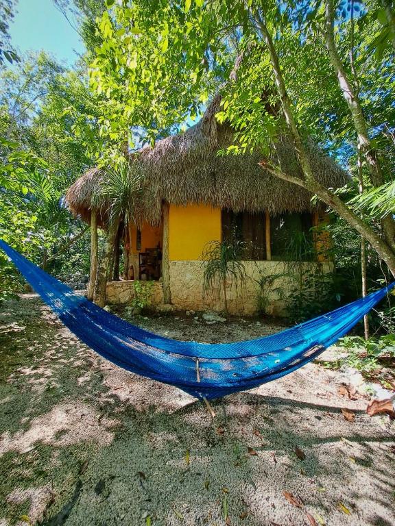 Casa Mango - 5