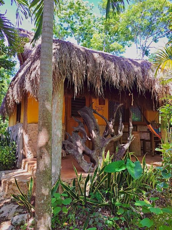 Casa Mango - 2