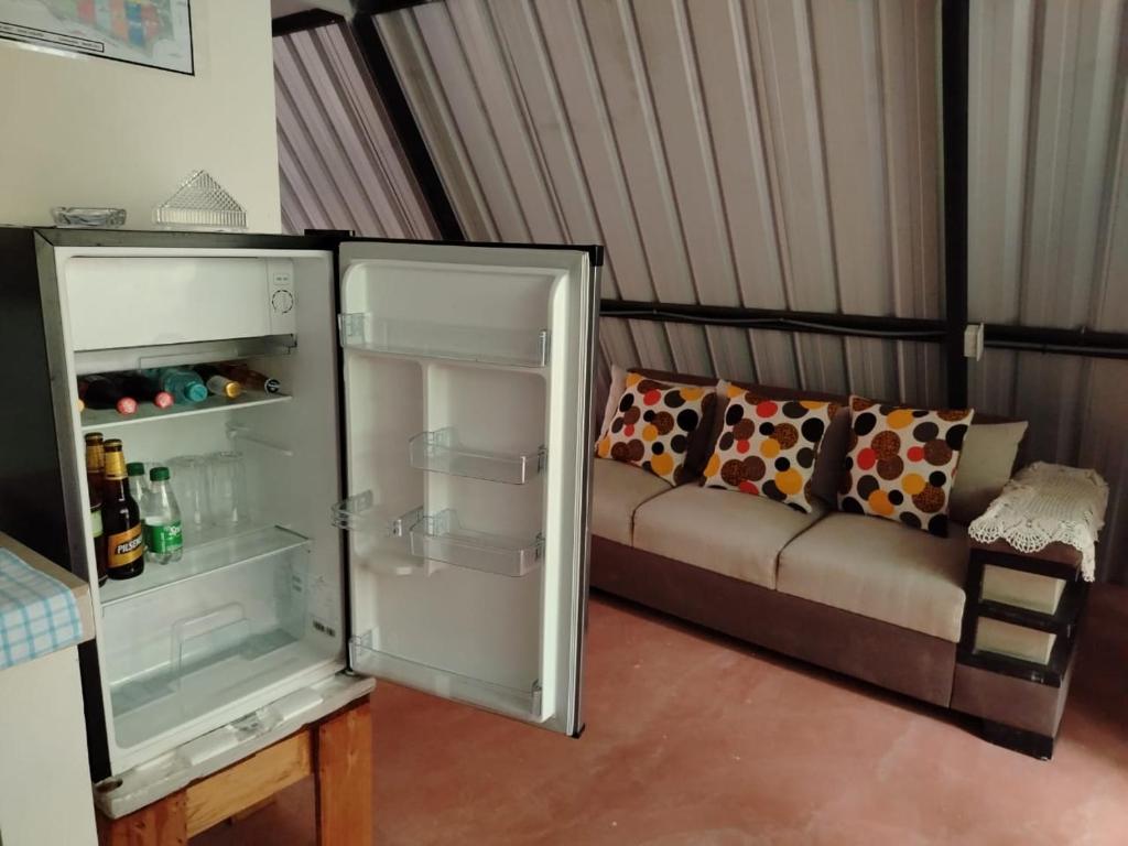 Mindo Golden Bird II - 4