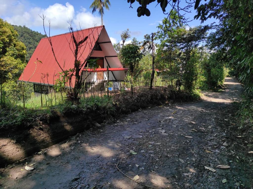 Mindo Golden Bird II - 1