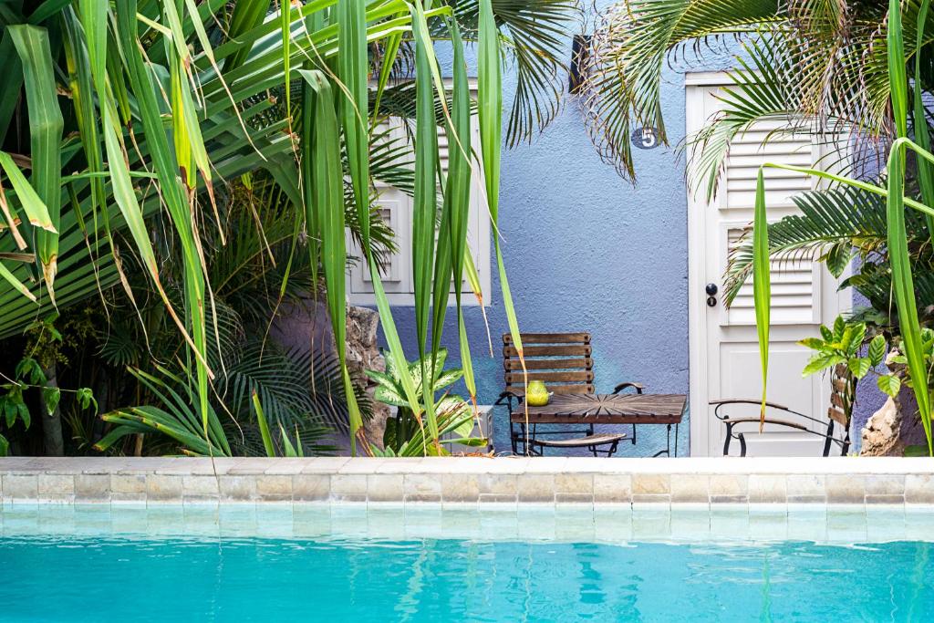 Pietermaai Boutique Hotel photo