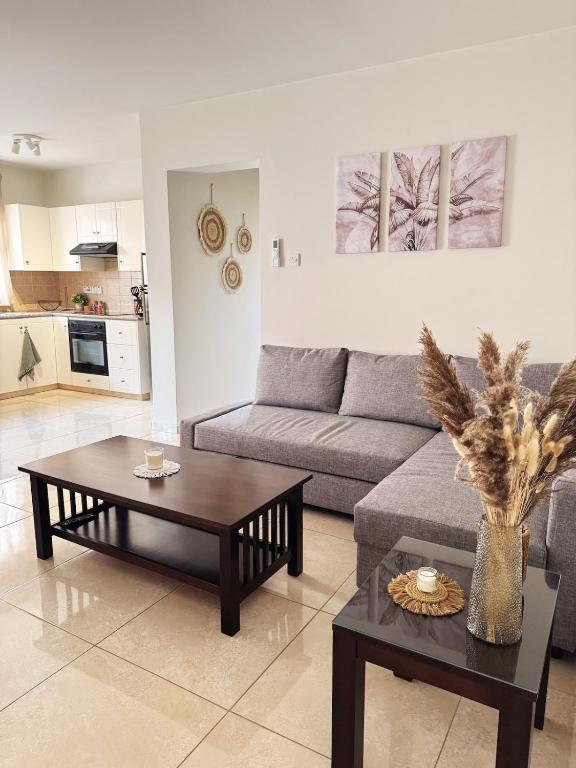 Stay in Harmony, Paralimni