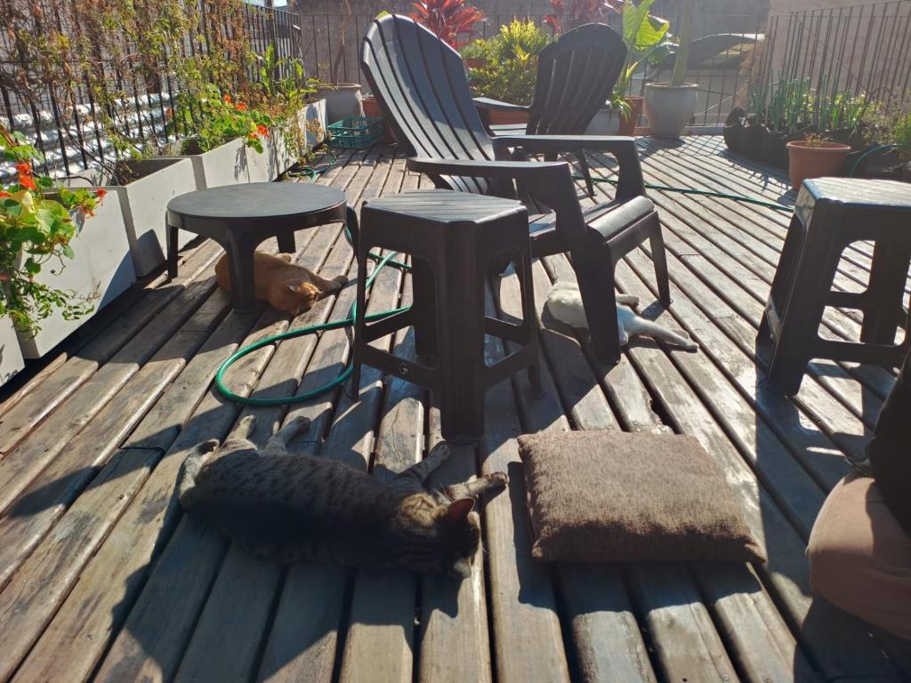 Casa de Guada y Fer - 5