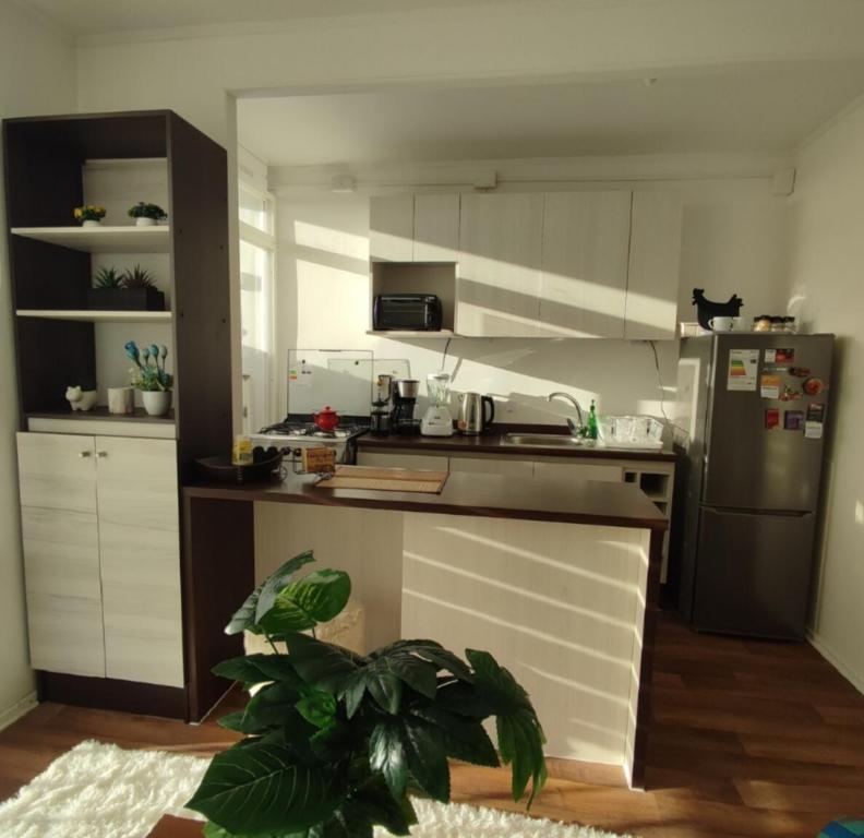 Hermoso departamento a pasos de santo domingo - 4