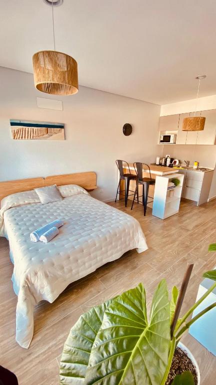 Premium Studio in Downtown - 5
