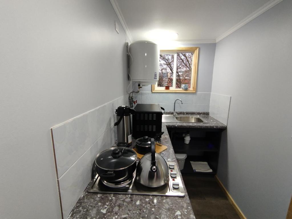 Cabañas Valdivia - 4