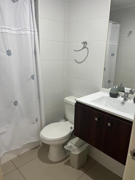 Departamento Pucon - 3