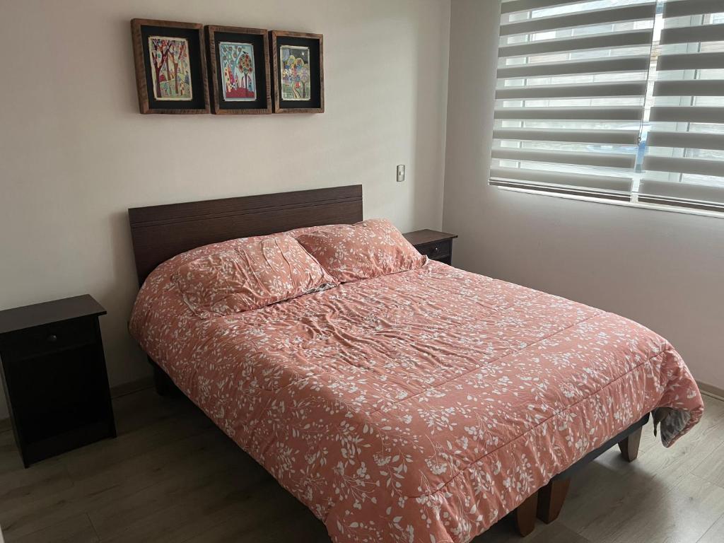 Departamento Pucon - 5