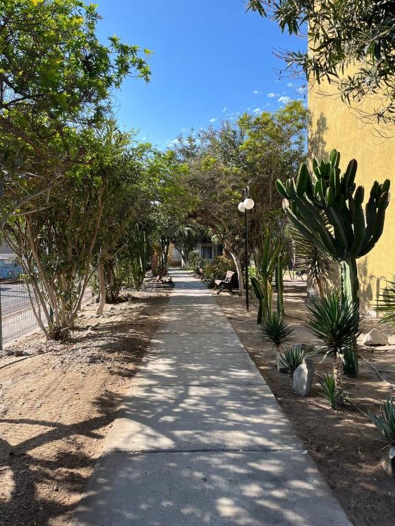 Arriendo por días moderno apartamento en Arica - 2