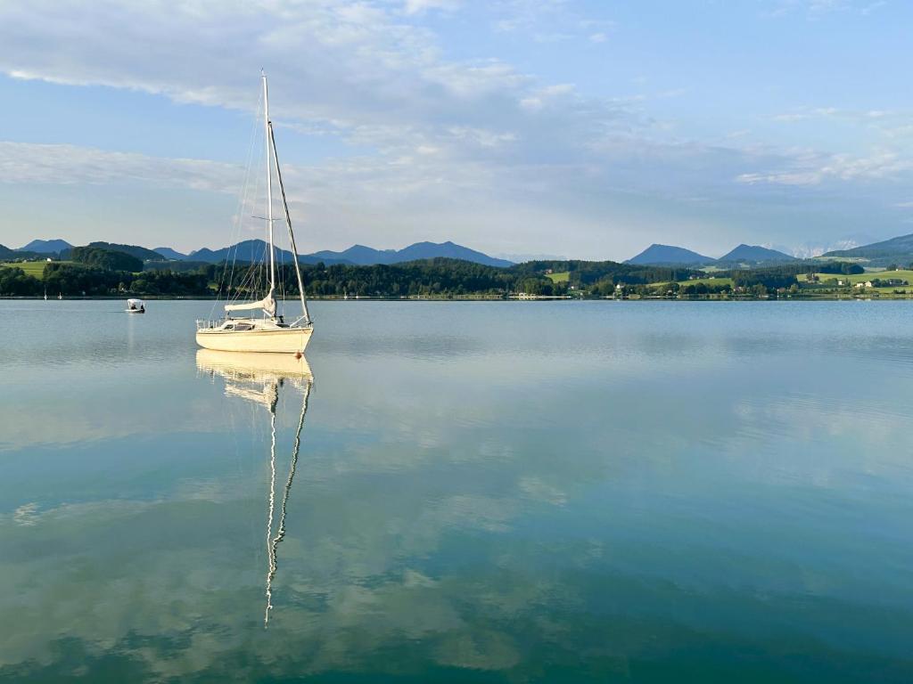 Tiny Haus am Wallersee - 4