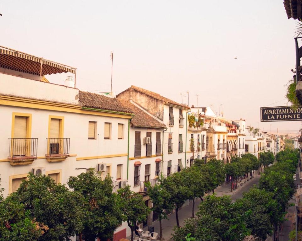 Apartamentos San Fernando 62 - 5