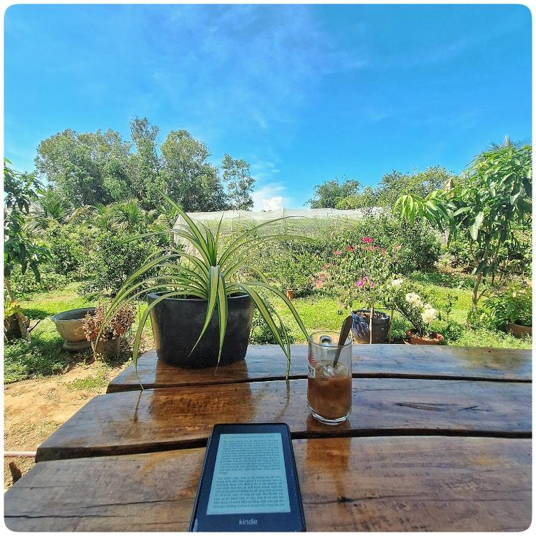 Summer Stations Homestay Binh Chau - Ho Coc Beach - Vung Tau