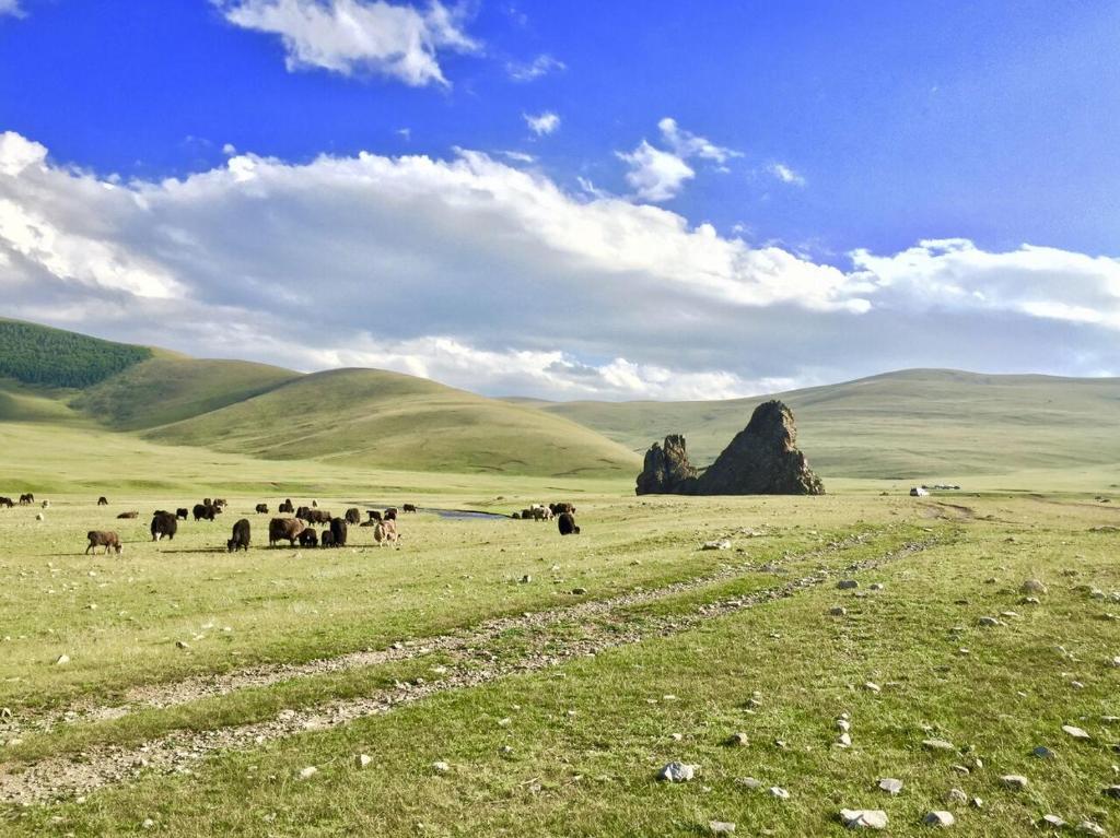 Live like a Mongolian Nomad, Ulaanbaatar