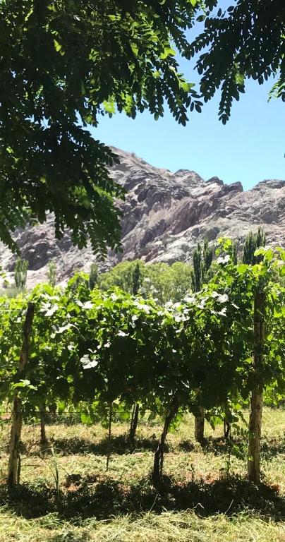 FINCA TIERRA CALMA Casa 2 - 4