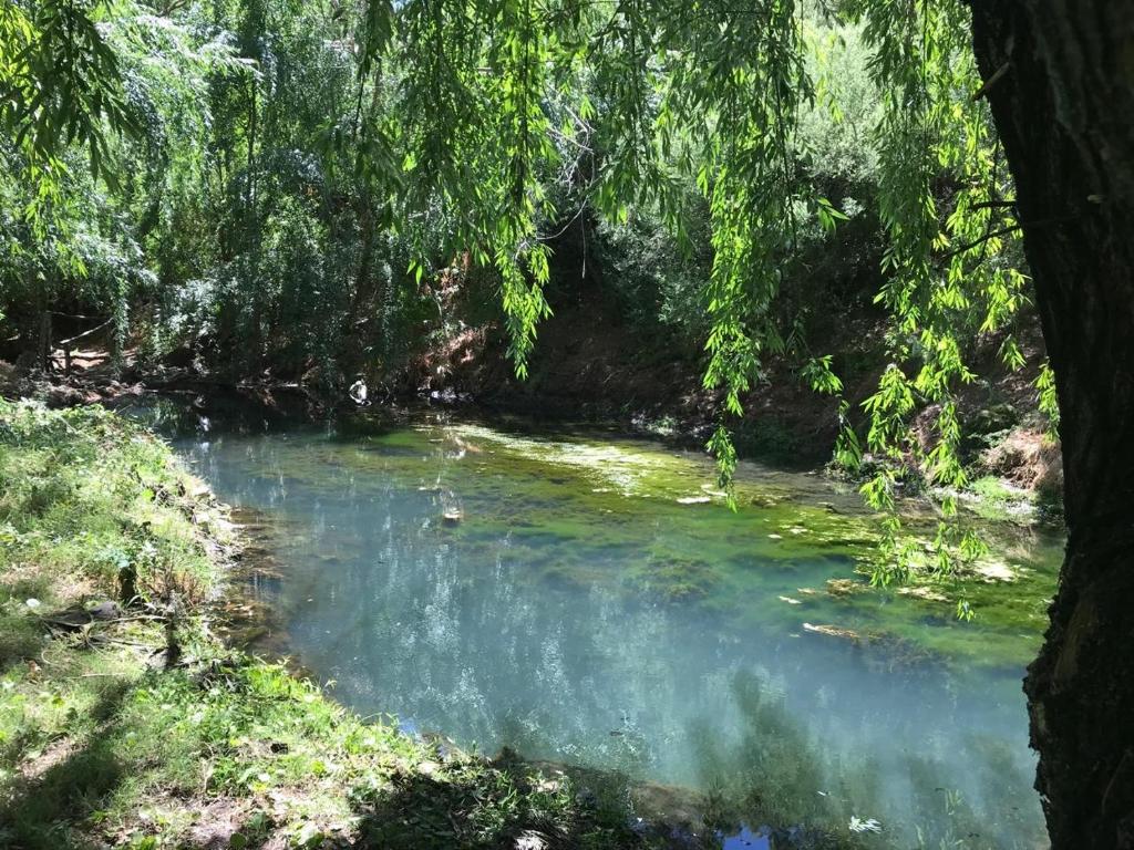 FINCA TIERRA CALMA Casa 2 - 2