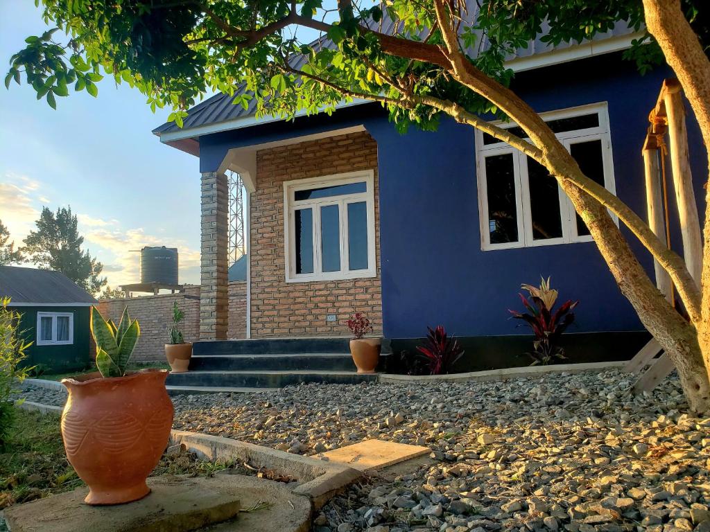 The Nest Stays, Sao Hill