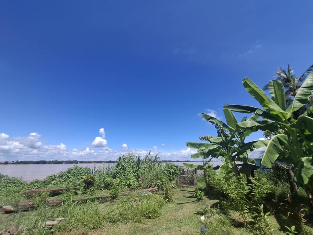 Surrounding environment