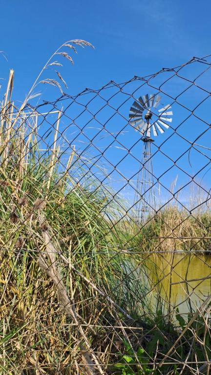 Basilio Restaurant & Resort - 3