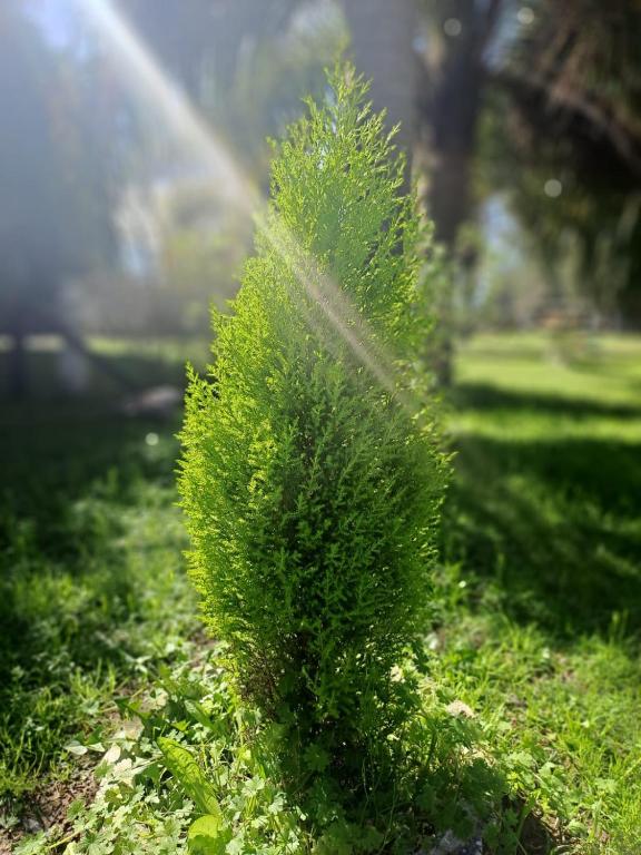 Basilio Restaurant & Resort - 4