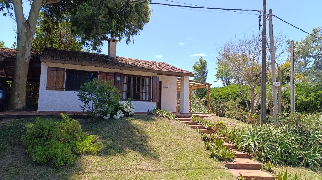 Jacarandá - 2