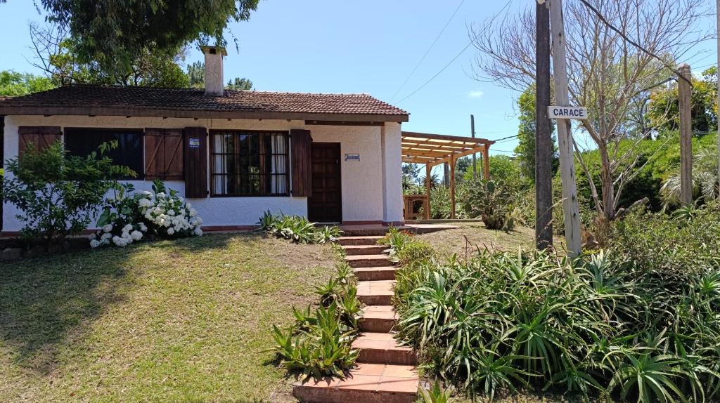 Jacarandá - 3