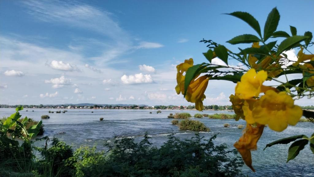 Surrounding environment