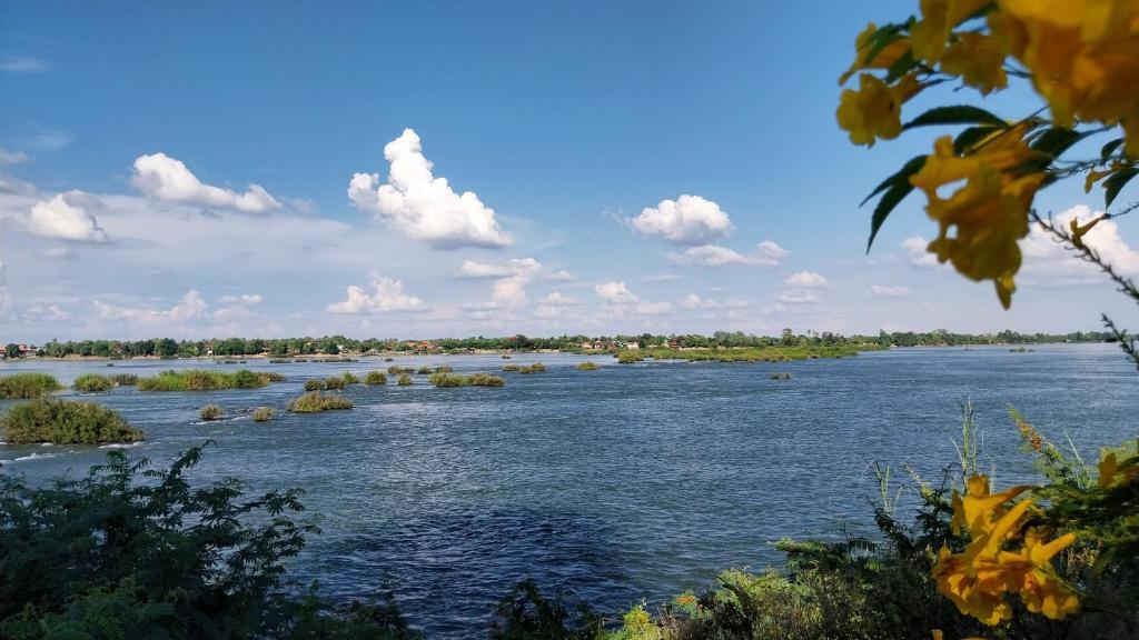 Surrounding environment