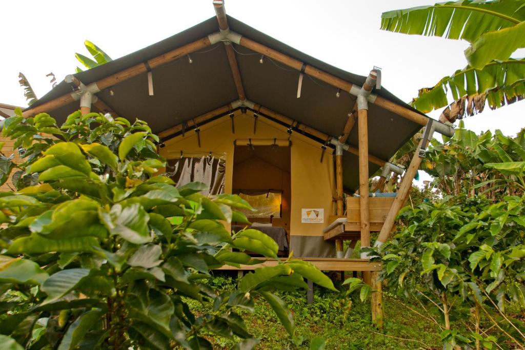 Glamping Jardín - 4