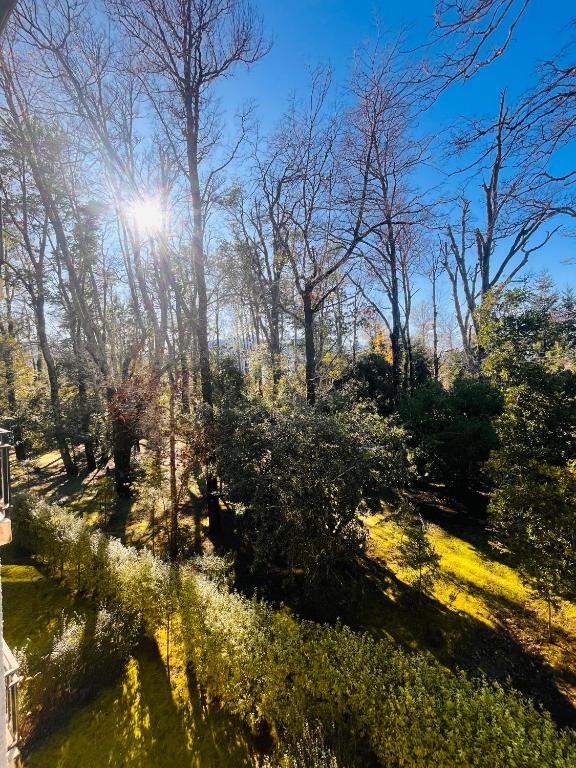 Arriendo Lacustre Pucon - 1