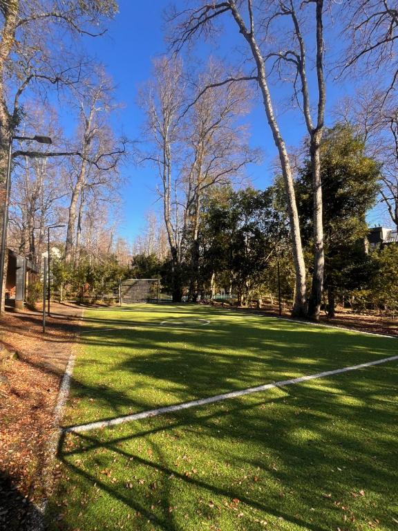 Arriendo Lacustre Pucon - 5