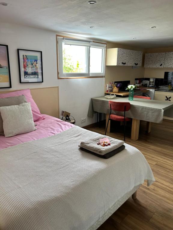 Studio proche parc expo et aéroport, Saint-Jacques-de-la-Lande