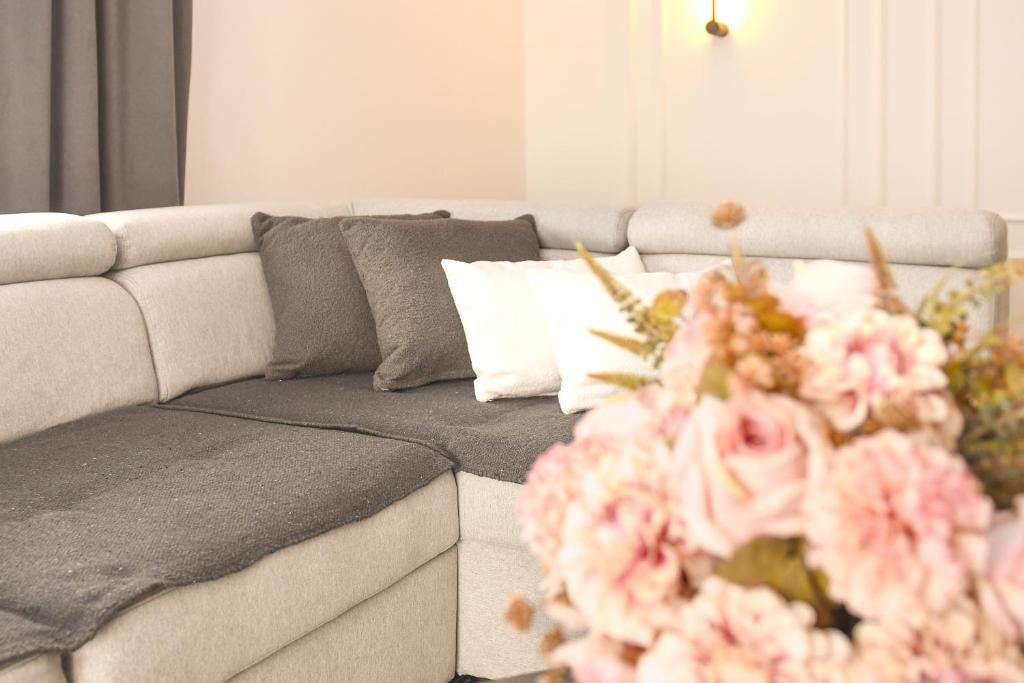 SleepAndGo, Kraljevo