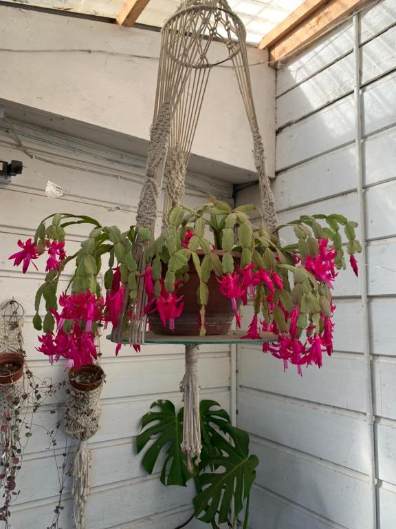 Hospedaje en borde río - 3