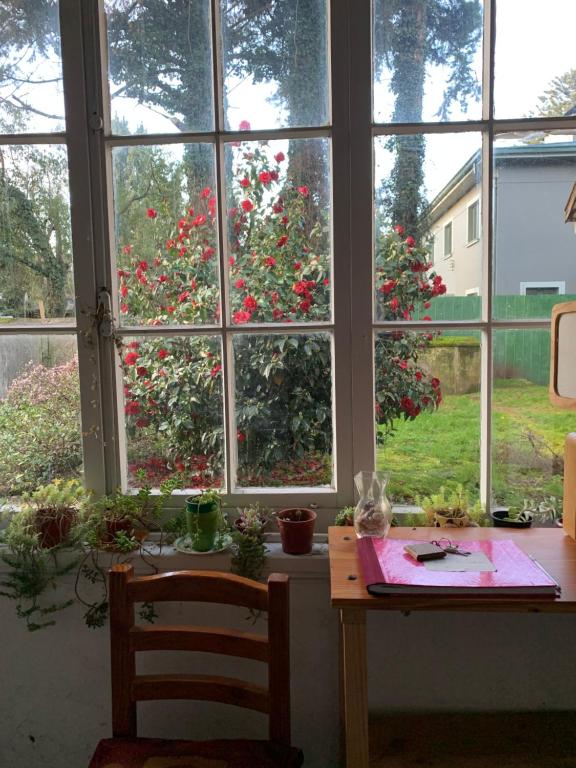 Hospedaje en borde río - 2